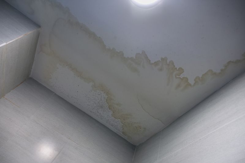 Ceiling And Wall Repair detail
